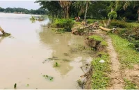 বাকেরগঞ্জে নদী ভাঙ্গনে বিলীন বেরিবাঁধ ও ফসলি জমি