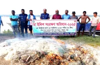 বাবুগঞ্জে দুই জেলেকে অর্থদণ্ডঃ বিপুল পরিমাণ জাল জব্দ