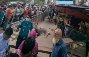 মেট্রো স্টেশনের পিলার থেকে বিয়ারিং প্যাড পড়ে পথচারী নিহত, চলাচল বন্ধ