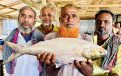 আড়িয়াল খাঁ নদীতে তিন কেজির ইলিশ