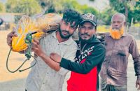 সেন্ট মার্টিনে জেলের জালে ধরা পড়ল ৩৩ কেজি ওজনের পোয়া, ৭ লাখে বিক্রি