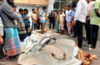 বরিশালে যাত্রীবাহী বাস থেকে সাড়ে ১২ মণ অবৈধ শাপলাপাতা মাছ জব্দ