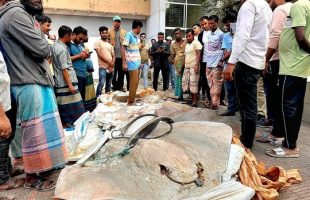 বরিশালে যাত্রীবাহী বাস থেকে সাড়ে ১২ মণ অবৈধ শাপলাপাতা মাছ জব্দ