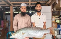 এক কোরাল বিক্রি ২৬ হাজার টাকায়