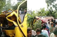 মাদারীপুরে বাস-পিকআপ মুখোমুখি সংঘর্ষ, আহত ২০
