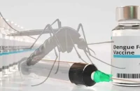 ডেঙ্গু টিকা কেন ব্যবহার করছে না বাংলাদেশ