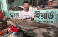 জেলের জালে ধরা পড়লো ২১ কেজির ‘ব্ল্যাক ডায়মন্ড’