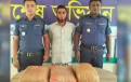 মাটির নিচ থেকে গাঁজা উদ্ধার, মাদক কারবারি আটক