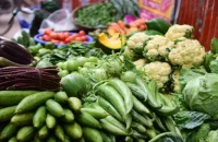 বরিশালে শীতকালীন সবজি বাজারে এলেও দাম কমেনি