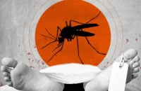 ডেঙ্গুতে মৃত্যু ৩৫০ ছাড়াল