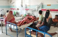 বরিশালে ডেঙ্গুতে এক নারীর মৃত্যু
