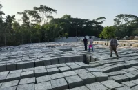 ভাঙনরোধে পাউবোর প্রকল্প: বদলে যাচ্ছে সুগন্ধাপারের জীবনচিত্র