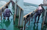 সমুদ্র থেকে কয়লাবাহী জাহাজে লাফিয়ে উঠলো শত শত ইলিশ