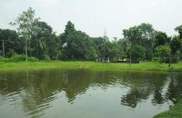 বরিশালে হাতবোমা ফাটিয়ে ব্যবসায়ীর মাছ লুট করে নিল প্রতিপক্ষ