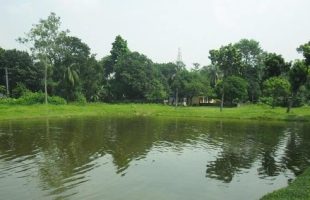 বরিশালে হাতবোমা ফাটিয়ে ব্যবসায়ীর মাছ লুট করে নিল প্রতিপক্ষ