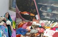 বরগুনায় একই রাতে দুই বাড়িতে ডাকাতি, বাধা দেওয়ায় নারীকে ছুড়িকাঘাত