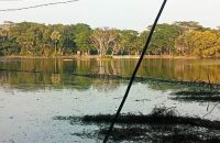 উজিরপুরে মাছের ঘের নিয়ে দ্বন্দ্বের জেরে হামলা, নারী-শিশুসহ আহত ৪