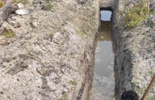 উজিরপুরে অভিনব কৌশলে ৬ লক্ষাধিক টাকার মাছ লু’ট