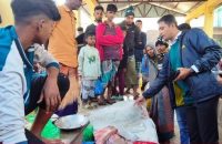 পিরোজপুরে বিলুপ্ত প্রায় নিষিদ্ধ শাপলা পাতা মাছ বিক্রি, তিনজনকে জরিমানা