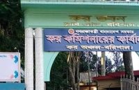 বরিশালে ফুটপাতে পিঠা বিক্রেতা তন্নীকে আয়কর রিটার্নের নোটিশ!