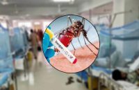 বরিশালে ডেঙ্গু আক্রান্ত হয়ে একজনের মৃত্যু, নতুন আক্রান্ত ৪০