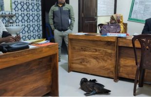 বরিশালে কিস্তির টাকা না পেয়ে হাঁস নিয়ে গেল এনজিও কর্মী