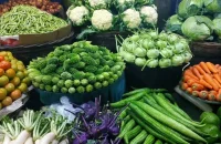 বরিশালে সরবরাহ বেড়েছে শীতকালীন সবজির, কমেছে দাম