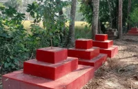 স্বাধীনতার ৫৪ বছরেও হয়নি স্মৃতিস্তম্ভ : অবহেলায় পটুয়াখালীর সুতাবাড়িয়ায় শহীদদের বধ্যভূমি