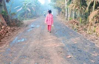 লালমোহনে সড়ক সংস্কারে অনিয়ম