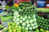 বরিশাল নগরীর সবজির বাজারে স্বস্তি