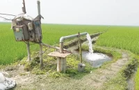 বরিশালে সাড়ে ৩শ কোটি টাকা ব্যায়ে ১৬ হাজার হেক্টরে সেচ সুবিধা সম্প্রসারন প্রকল্প