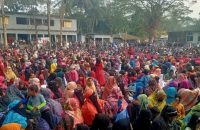 বরিশালে নারী ভোটারদের ওপর নির্ভর করছে প্রার্থীদের জয়-পরাজয়