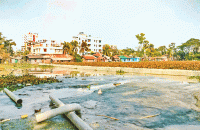 বরিশালের লালার দীঘি: পাড় দখল করে হাউজিং প্রকল্প