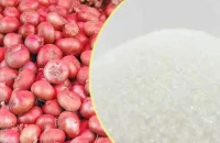 সবজিতে স্বস্তি, রোজার আগে বাড়ছে চিনির দাম