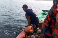 বরিশালের মেঘনায় ট্রলারডুবি, চার জেলে নিখোঁজ