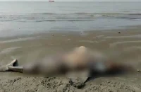 কুয়াকাটা সৈকতে ভেসে এলো দাঁতাল প্রজাতির ইরাবতী ডলফিন