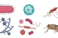 দক্ষিণাঞ্চলে স্বাস্থ্যঝুঁকি বাড়াচ্ছে সংক্রামক রোগ