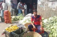 বরিশালে কমেছে কাঁচামরিচ-পেঁয়াজের দাম