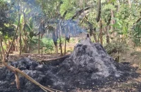 বাউফলে রাতের আধারে কৃষকের খড়ের খাদায় দুর্বৃত্তদের আগুন