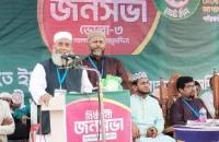 বিগত সময়ে যারা ক্ষমতায় ছিল তারা নতুন কিছু দেবে না: অধ্যাপক মুজিবুর রহমান