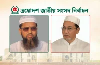 বরগুনার দুটি আসনের একটিতে হাতপাখা, অপরটিতে ধানের শীষ জয়ী