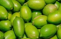 লেবুর হালি ২০০ টাকা