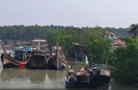 জলদস্যু আতঙ্কে থমকে আছে পাথরঘাটার মৎস্য খাত: মুক্তিপণ দিয়ে ফিরছেন জেলেরা