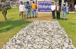 পিরোজপুরে ১০ মণ জাটকাসহ দুটি ট্রলার জব্দ, ৩ জেলের কারাদণ্ড