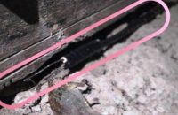 বরিশালে বাথরুমে বিদ্যুৎ সংযোগ দিয়ে প্রবাসীর স্ত্রীকে হত্যাচেষ্টার অভিযোগ