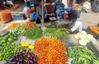 বরিশালে কেজিতে ৩০ টাকা পর্যন্ত কমেছে সবজি, তেজ কমেনি কাঁচামরিচের