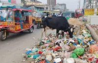 বেতনসহ বোনাসের দাবিতে কর্মবিরতিতে পরিচ্ছন্নতাকর্মী, শহরে ময়লার স্তূপ