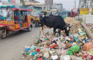 বেতনসহ বোনাসের দাবিতে কর্মবিরতিতে পরিচ্ছন্নতাকর্মী, শহরে ময়লার স্তূপ