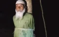 বরগুনায় চোর সন্দেহে বৃদ্ধকে গাছে বেঁধে পিটিয়ে হত্যা