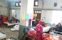 বরিশালে প্রাণঘাতী হয়ে উঠেছে ‘রুবিওলা’